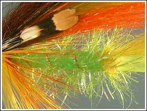 Inside of shiny colours. Photo by Jurij Shumakov