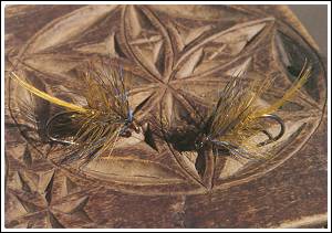 Golden Olive Bumble. Foto: Gerben Groustra © 2000