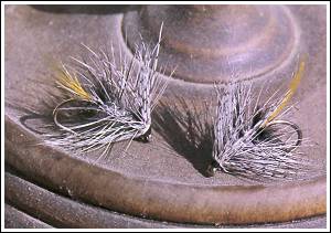 Grey Ghost Bumble. Foto: Gerben Groustra © 2000