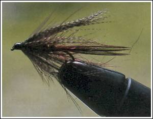 Claret Dabbler (Movilla style) en lokal variant, foto av Gerben Groustra
