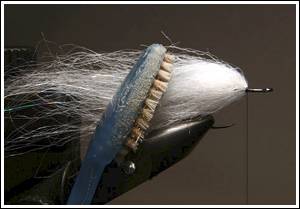 Jerky Fly Spiggen, foto avTellis Katsogiannos © 2006