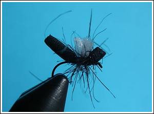 Foam ant