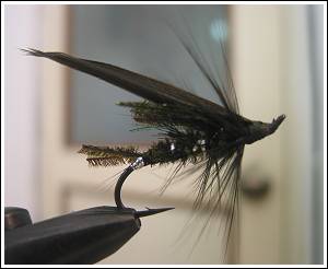 The Blackamoor, by Misty Dhillon © 2007