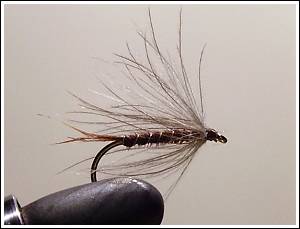 CDC Loop Spider