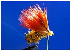 WOLF CADILLAC CADDIS BABY